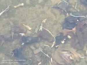 IMG-20230128-WA0027