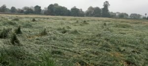 IMG-20230320-WA0067