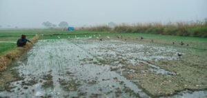 IMG-20231230-WA0035
