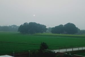 IMG-20240118-WA0030