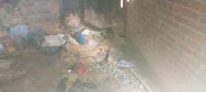 IMG-20241113-WA0026
