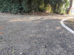 IMG-20250123-WA0051