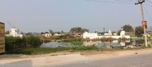 IMG-20250603-WA0047