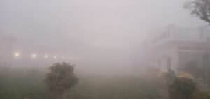 IMG-20260106-WA0024