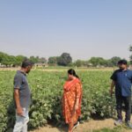 Jaunpur news छोटे किसान से प्रगतिशील कृषक बनने तक की प्रेरणादायक सफलता की कहानी