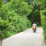 Jaunpur news बंधवा -कुंवरपुर मार्ग पर जगह-जगह झाड़ियों का कब्जा