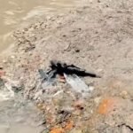 Jaunpur news ऊपर से बारिश का पानी नीचे से जल निगम का पानी, राहगीरों को परेशानी ही परेशानी