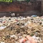 Jaunpur news जन्नत में जहन्नुम का नजारा देखना है तो आइए मछलीशहर के इस गांव में