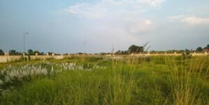 IMG-20260921-WA0020