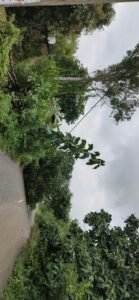IMG-20260926-WA0028