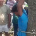 Jaunpur news चोरी के शक में तीन युवकों को पेड़ से बांधने का वीडियो वायरलचोरी के शक में तीन युवकों को पेड़ से बांधने का वीडियो वायरल, पुलिस ने शुरू की जांच