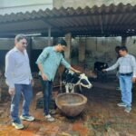 Jaunpur news सेवा सप्ताह के अंतर्गत लायंस क्लब जौनपुर ‘गोमती’ ने किया गौवंश स्वास्थ्य परीक्षण एवं आहार वितरण।