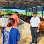 Jaunpur news गौशाला का हुआ निरीक्षण